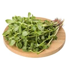 Yerli Doğal Semizotu Portulak Tohumu 1000 Adet Tohum