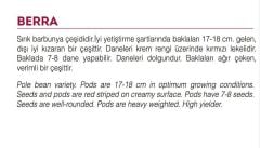 Yerli Doğal Sırık Barbunya 30 Adet Tohum