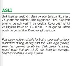 Yerli Doğal Sırık Fasulye 50 Adet Tohum