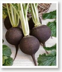 Yerli Doğal Siyah Turp Tohumu 500 Adet Tohum