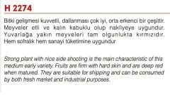 Yerli Doğal Sofralık Domates 100 Adet Tohum