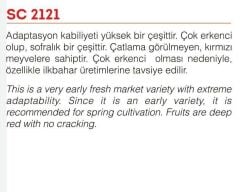 Yerli Doğal Sofralık SC-2121 Domates 100 Adet Tohum