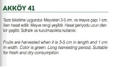 Yerli Doğal Sultani Bamya 100 Adet Tohum