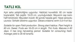 Yerli Doğal Tatlı Kıl Sivri Biber 100 Adet Tohum