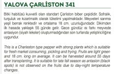 Yerli Doğal Tatlı Sivri Biber Yalova Çarliston 100 Adet Tohum