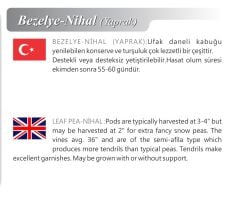 Yerli Doğal Yaprak Bezelye 50 Adet Tohum