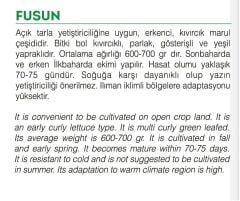 Yerli Doğal Yazlık Marul Tohumu Füsun 1000 Adet Tohum