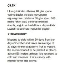 Yerli Doğal Yediveren Anadolu Çilek Tohumu 100 Adet Tohum