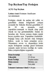 Yerli Doğal Yeşil Top Reyhan Top Fesleğen Tohumu 100 Adet Tohum