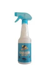 Karasin Karasinek ve Haşere ilacı Ani ve Kalıcı etkili 400 ml Hazır Sprey