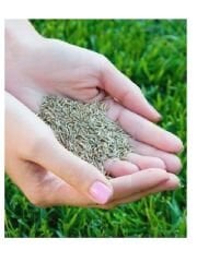 Çim Tohumu İthal 6'Li Karışım Grand Master Seed 6-M Mix 1 Kg