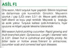 Asil F1 Hybrit Salatalık Kornişon Hıyar Tohumu 100 Adet