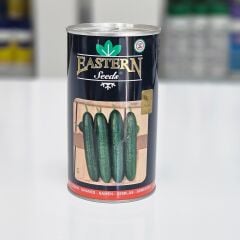 Mercur F1 Erkenci Tarla Hıyarı 2500 Adet Tohum