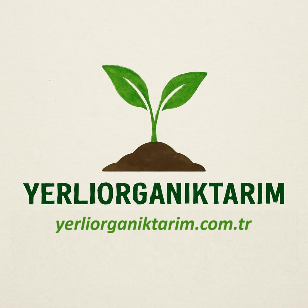 Bitki Gelişim Düzenleyiciler